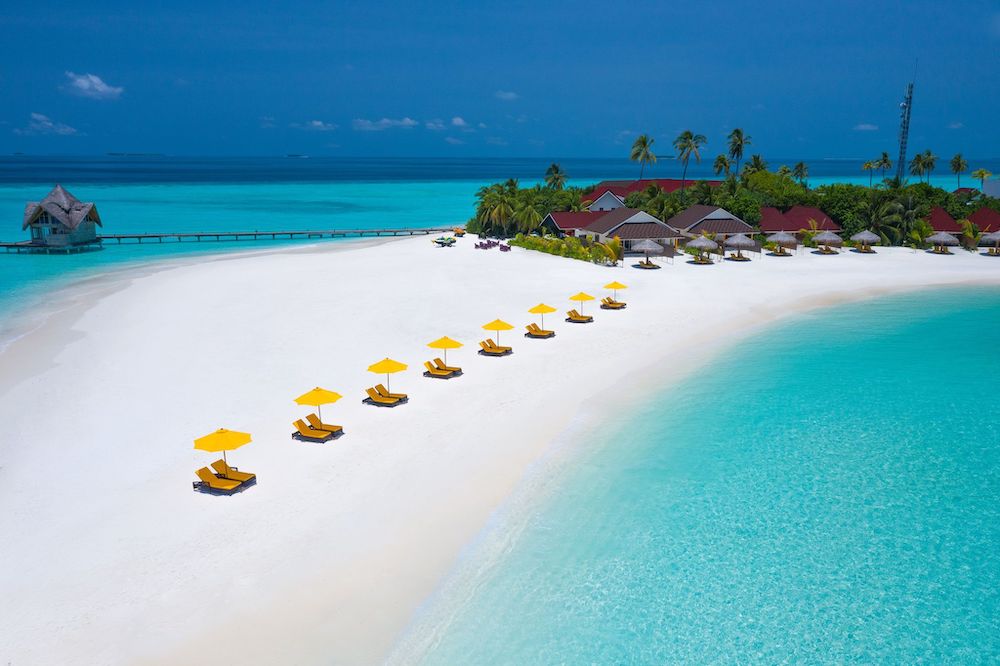 Dhigufaru Island Resort photo 3